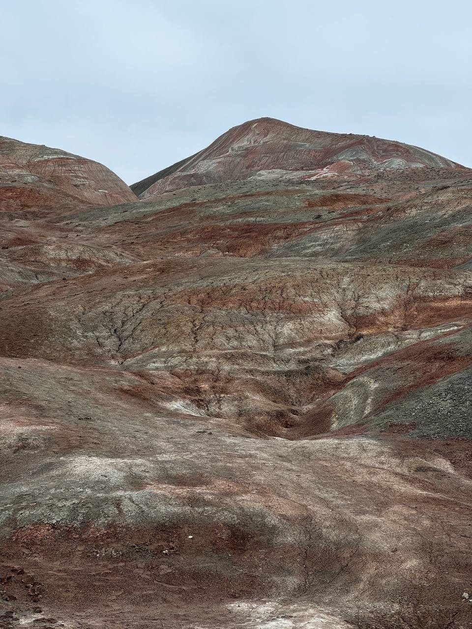 В последний момент отказалась вторая участница экскурсии и я осталась одна. Сказать, что испугалась - ничего