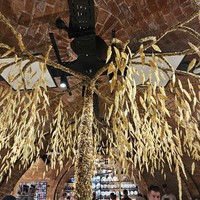 Фото туриста Ольга 3 - Калининград: самый смак за 3 часа