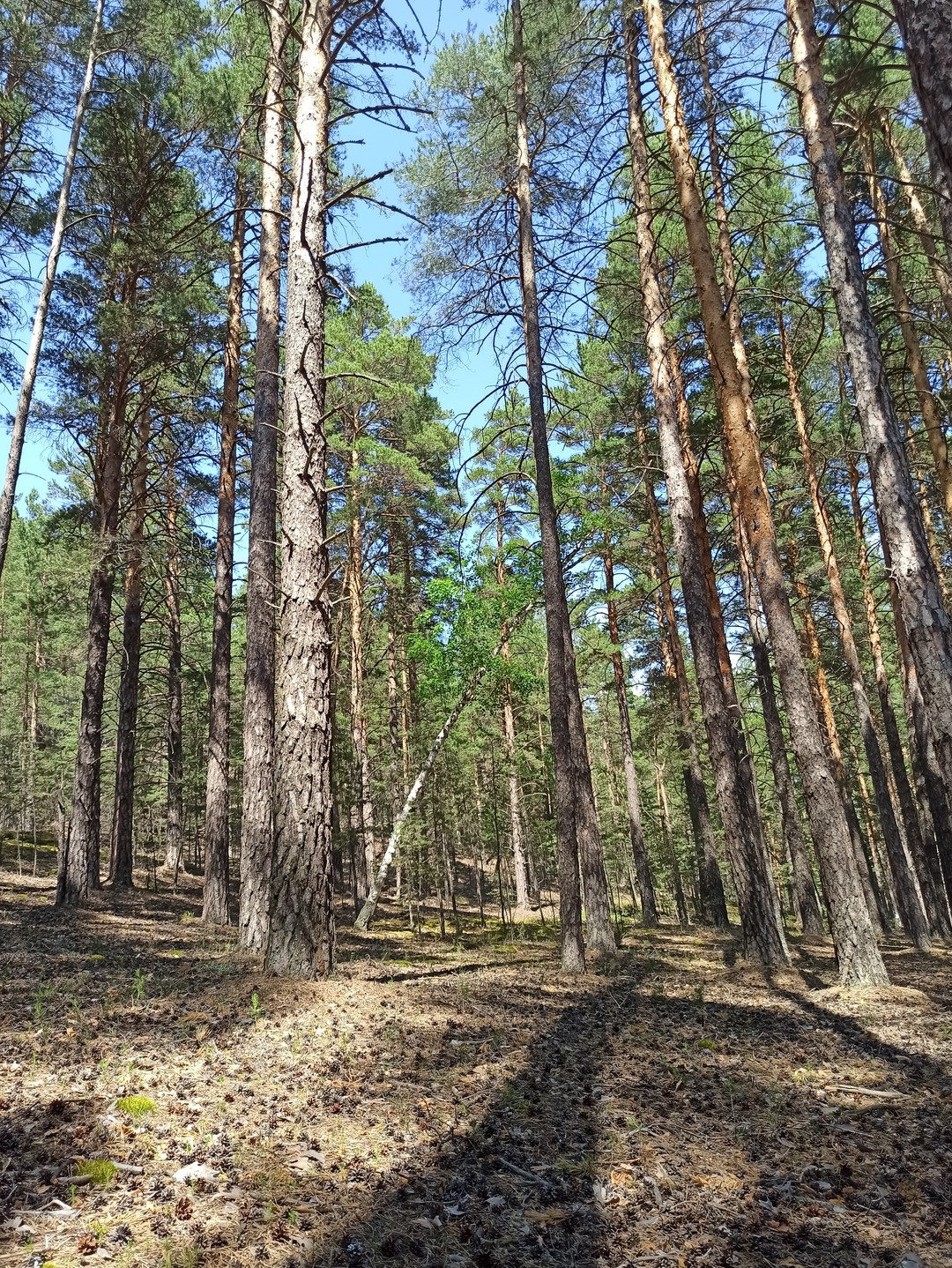 Очень красивое место, шикарная природа, классное ощущение от прогулки)