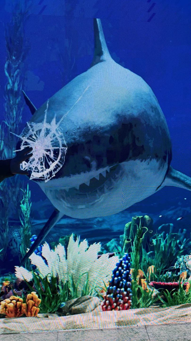 Андрей классный! Нам все понравилось!!!