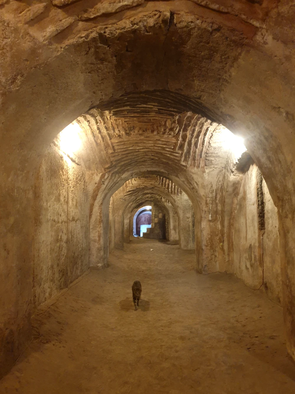 Стамбул настоящий — в Фатихе (9/11)