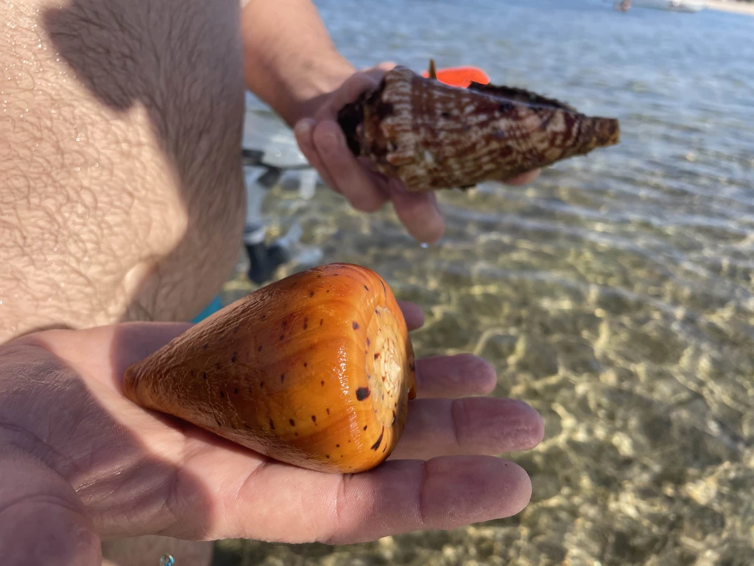 Офигенная экскурсия, нам очень понравилась. По пути заезжали во дворец. Дворцом назвать конечно сложно, но бедуины