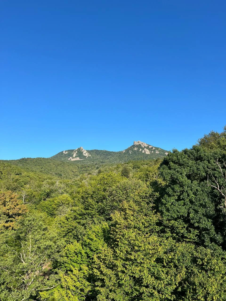 Лучшее мероприятие за весь отпуск!!!! Восхитительная природа, куча интересных историй, невообразимые виды и конечно же щепотка