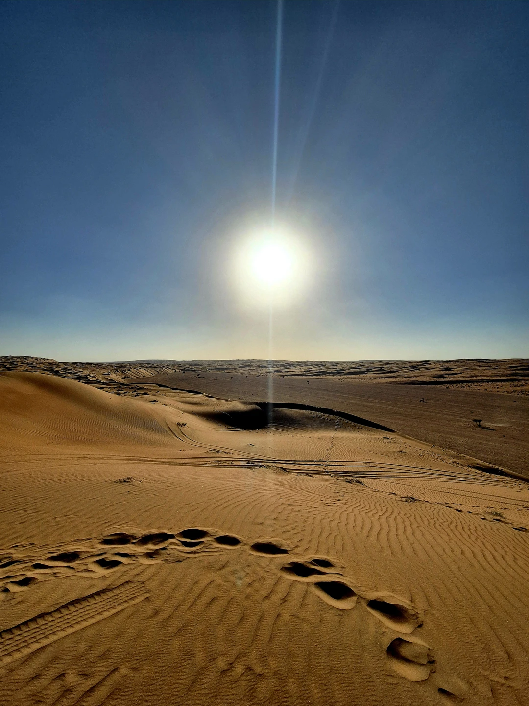 Нашу экскурсию проводил гид Павел. Всё прошло замечательно. Пустыня-самое интересное и красивое место, обязательно стоит взять