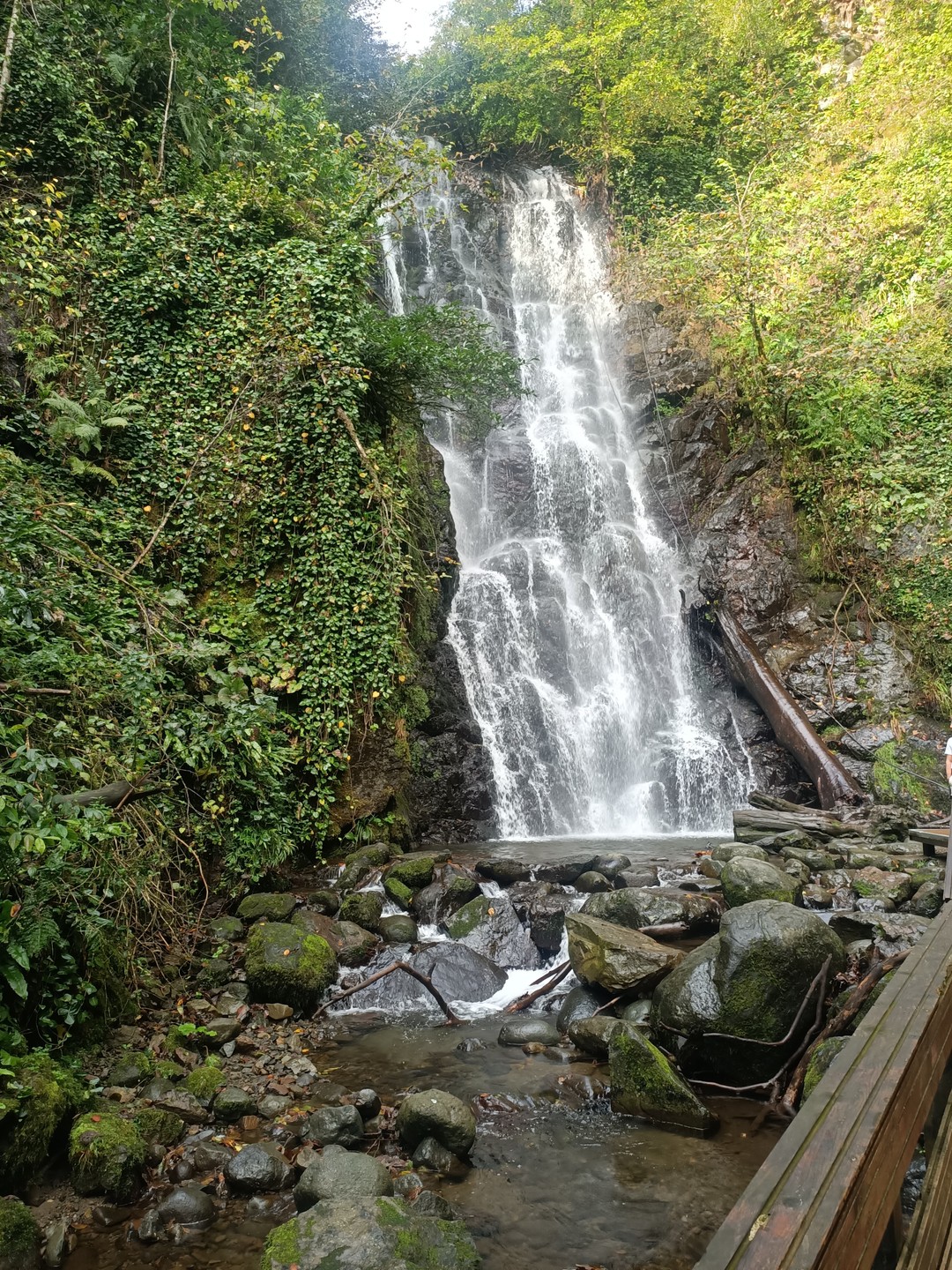 Просто восхитительно! Сердечное спасибо гиду Гиви за незабываемый день. в Мачахельском ущелье! Рассказывает интересно, в дороге