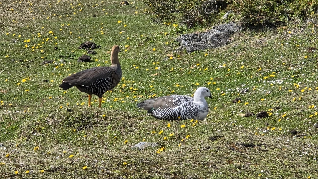 Дмитрий, великолепный ГИД. Экскурсия была просто чудесной. Впечатлений от окружающей природы в тандеме с рассказами Дмитрия