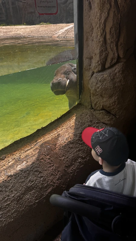 Из Рас-эль-Хаймы - в оазис Аль-Айн