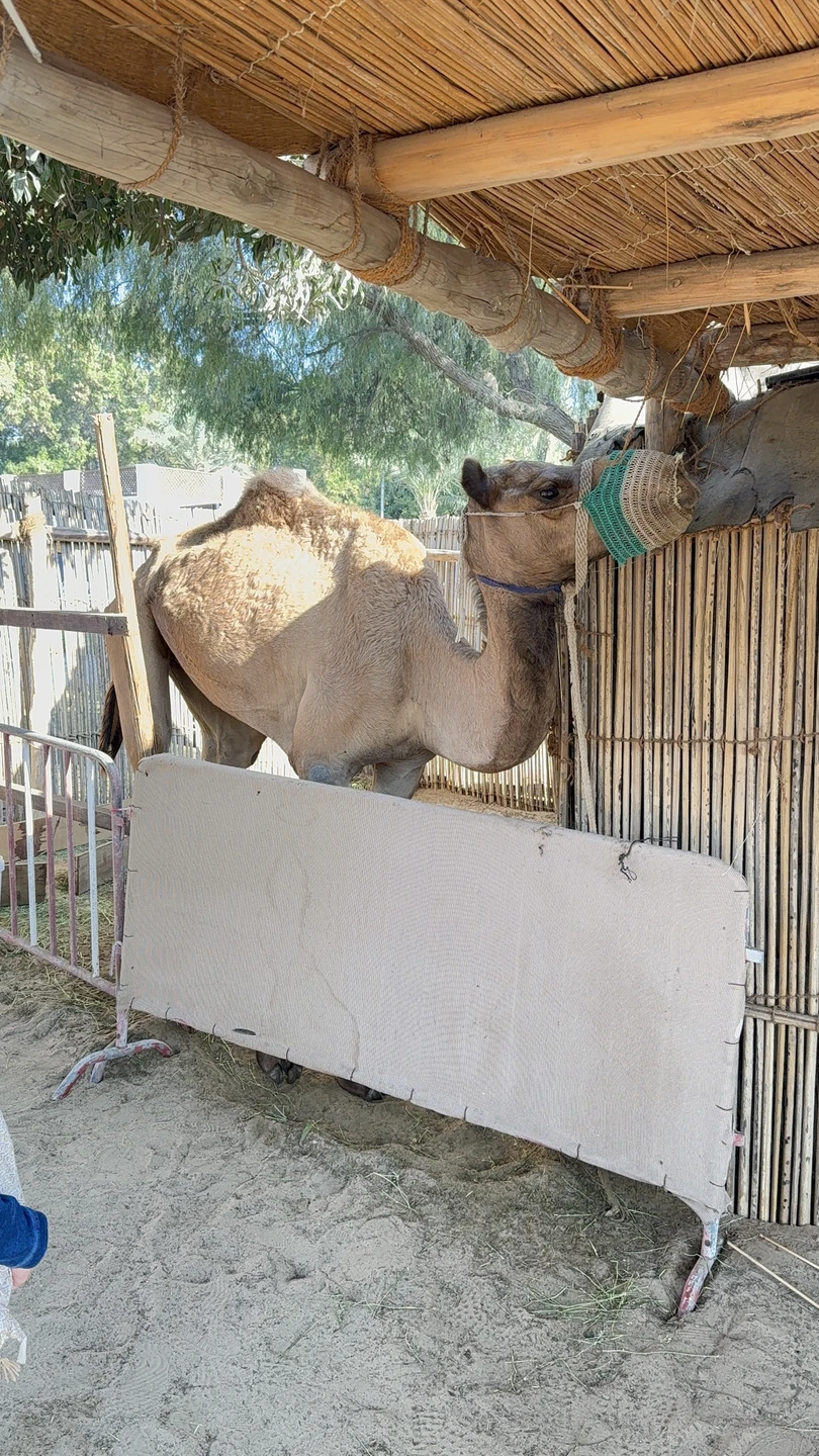 Все очень понравилось. Спасибо Борису! Рекомендую!