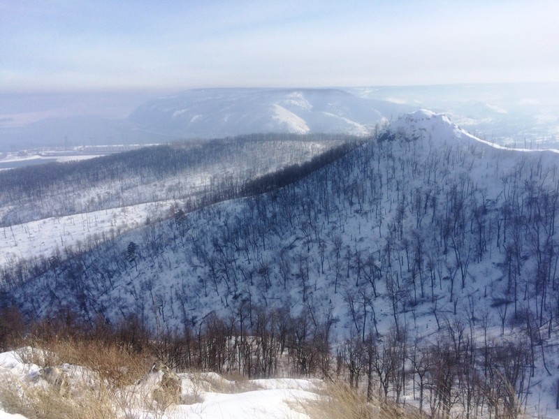 Самарская Лука: влюбиться в волжские панорамы