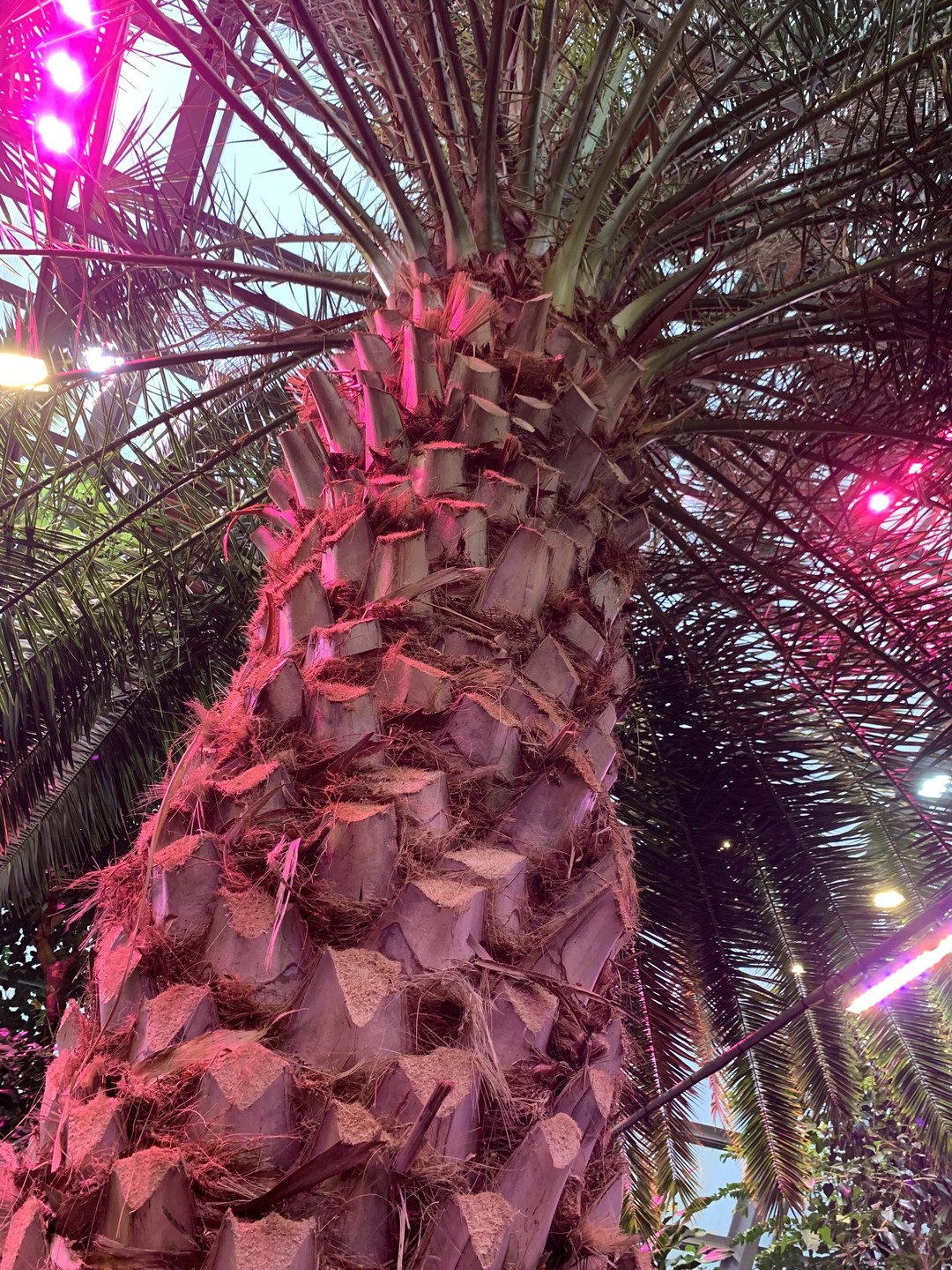 Величественные Хибины и Кировск за один день (Мария)