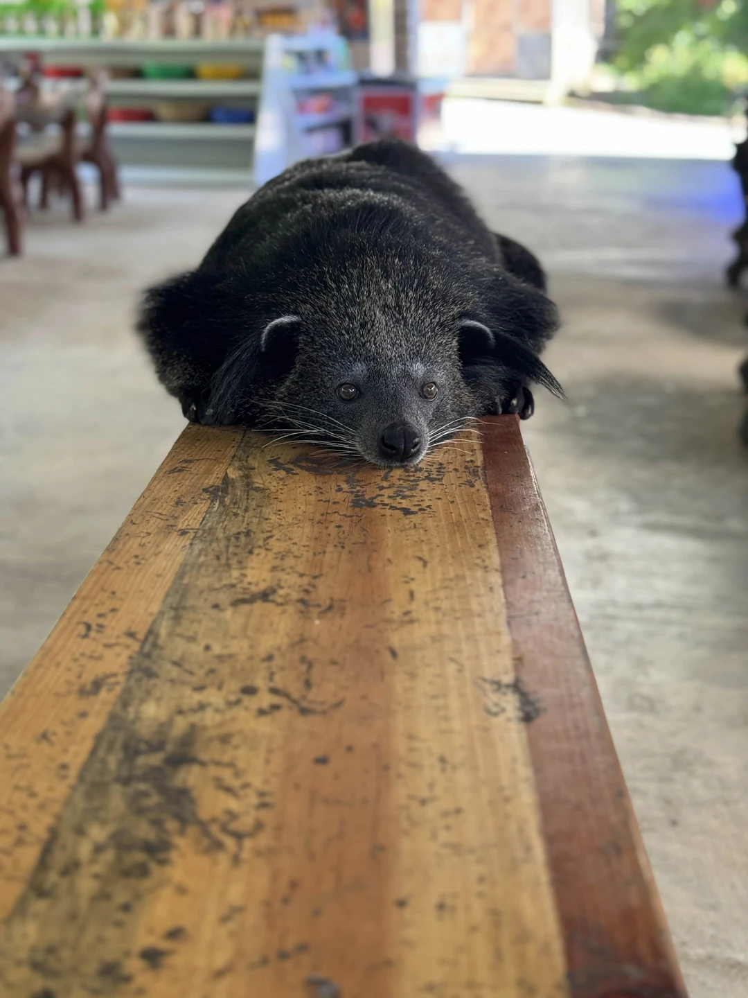 Красивый Далат!