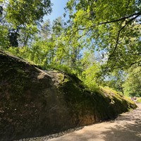 Фото отзыва 2: экскурсия "Утро в Монрепо"