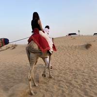 Фото отзыва 2: экскурсия "Сафари на джипах в Абу-Даби: песчаные дюны и арабский вечер"
