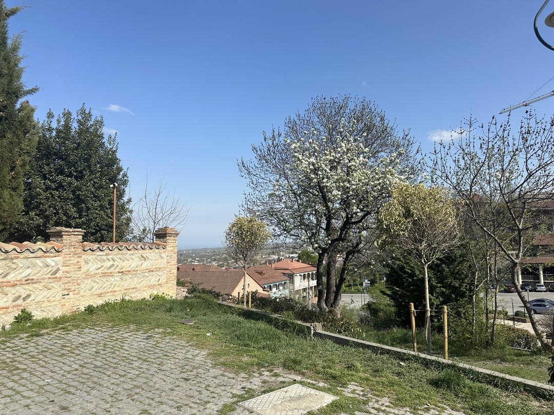 Спасибо огромное за экскурсию! Однозначно рекомендую выбирать только этого гида! Наше путешествие прошло очень весело в