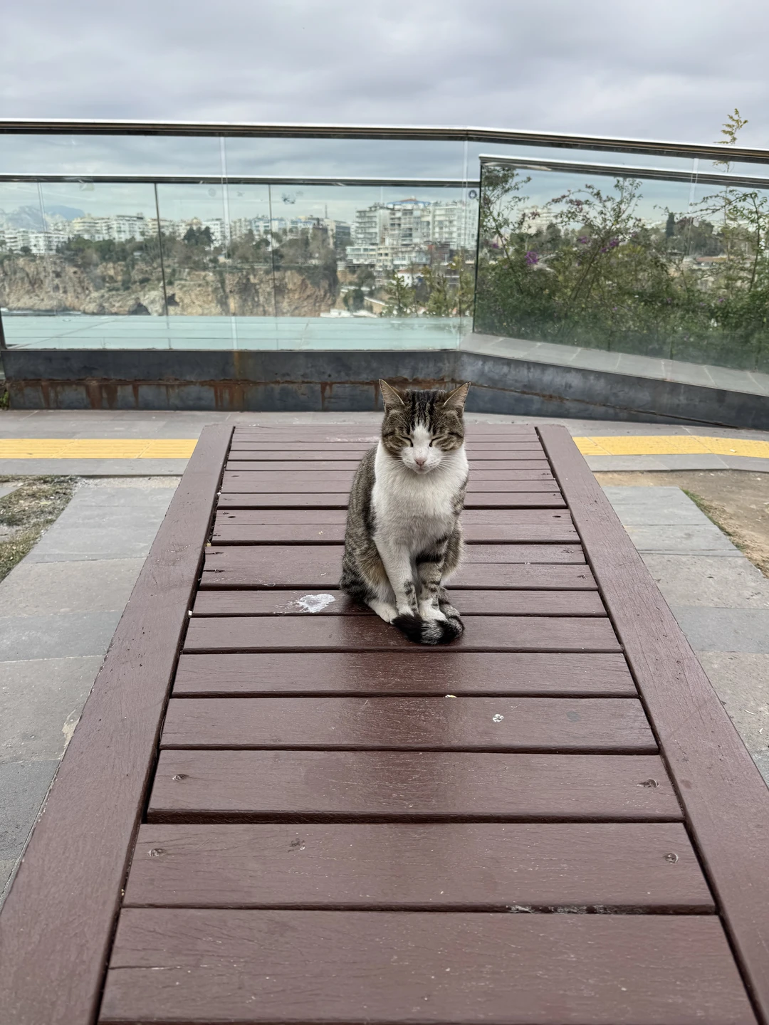 Большое путешествие по Анталье на авто (Людмила)