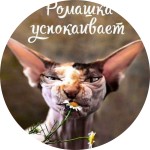 Ирина