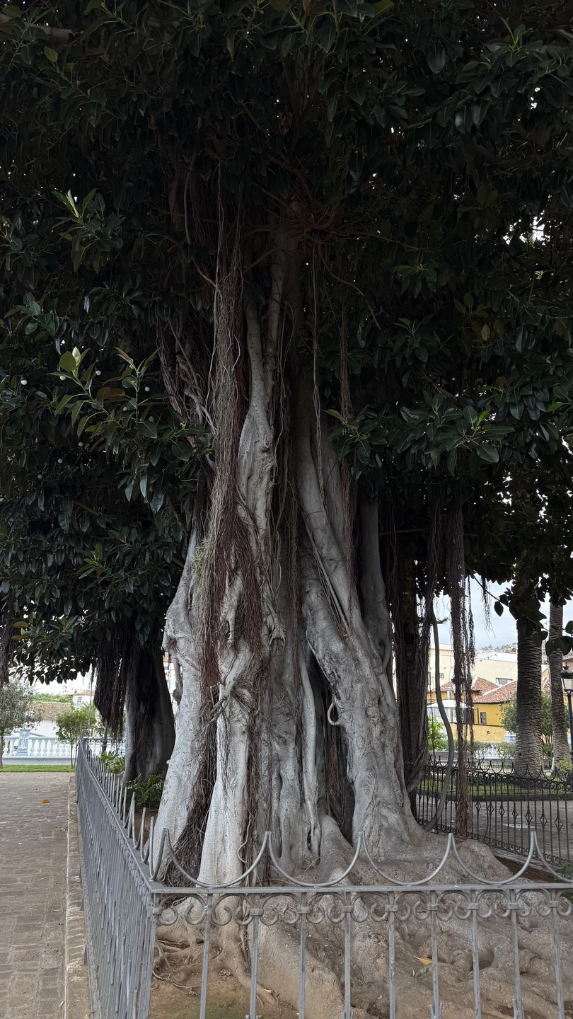 Замечательная экскурсия, однозначно стоит своих денег. Руслан - отличный знаток острова. Больше снимала видео.