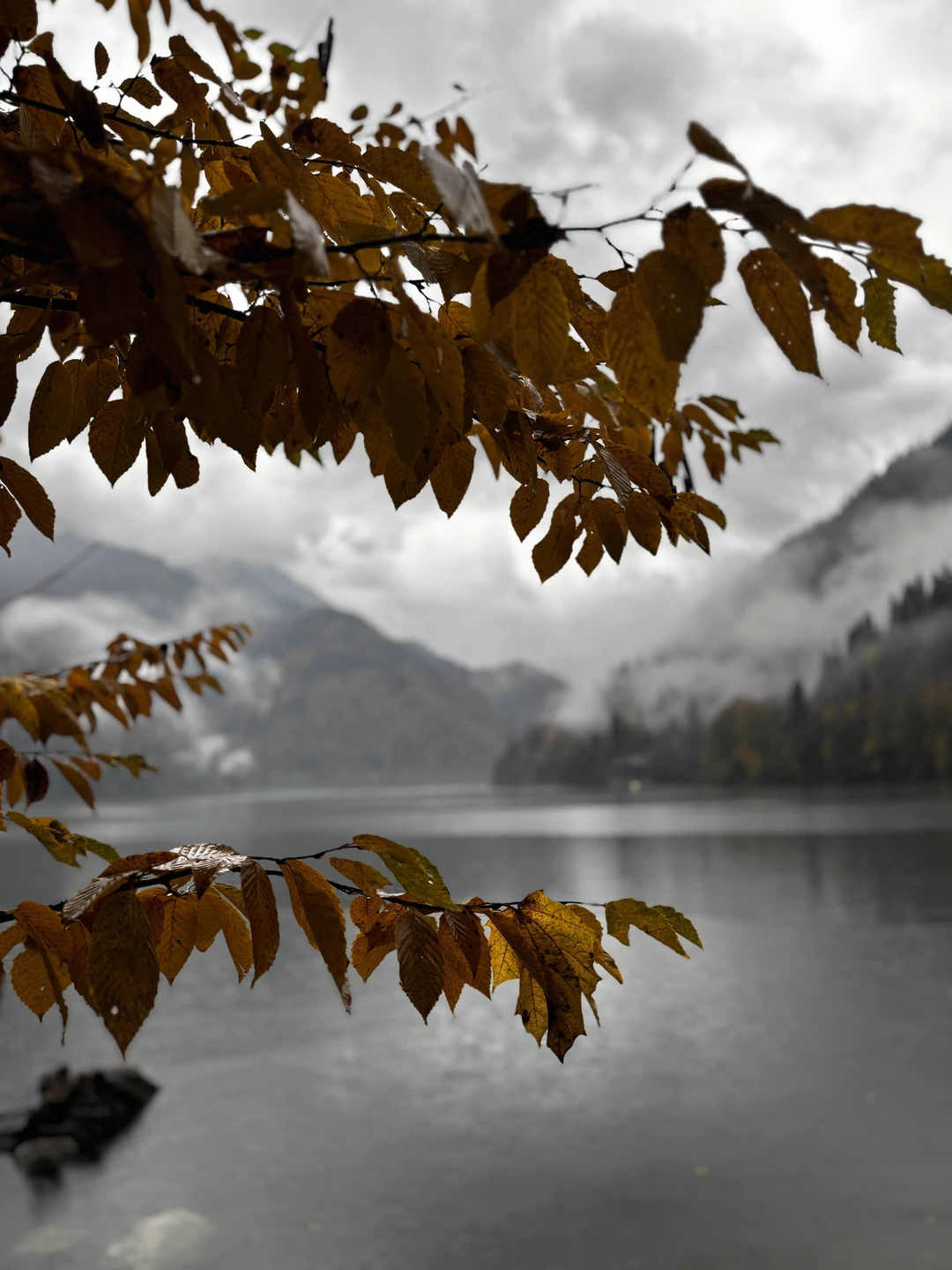Это было потрясающее путешествие по живописным местам. Экскурсовод рассказала много интересного об истории и природе