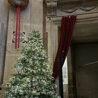 Фото отзыва 3: экскурсия "Порту — город моего сердца!"