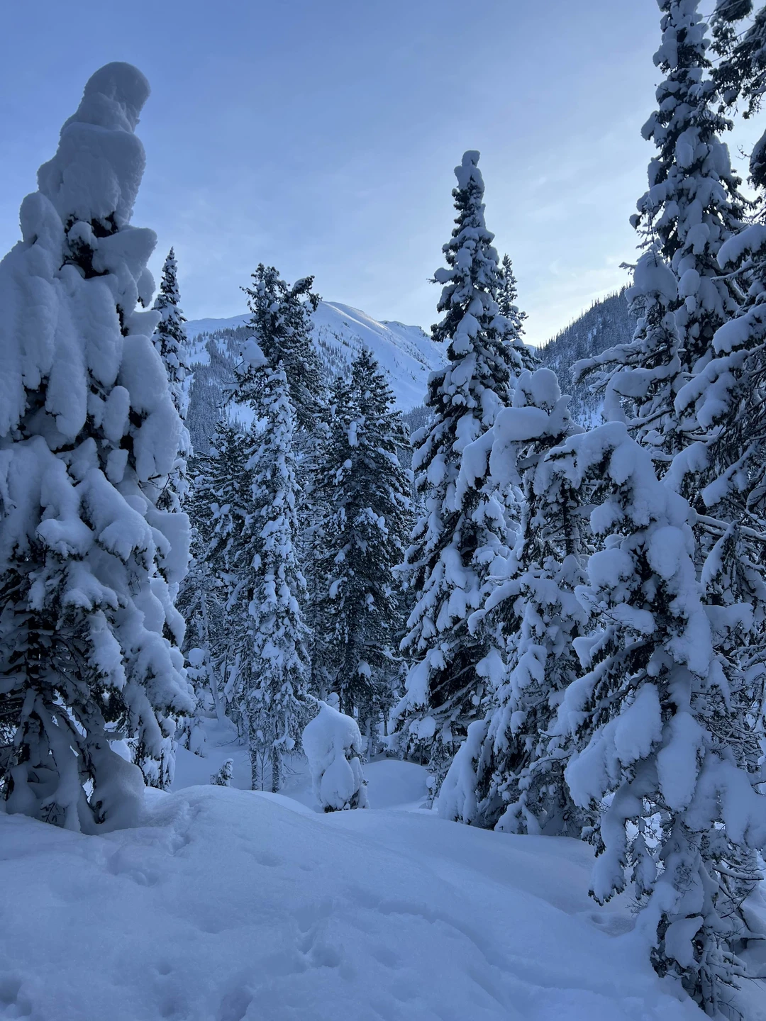Это не просто экскурсия это тур в изоляцию от внешнего мира, медитация с природой и душевный