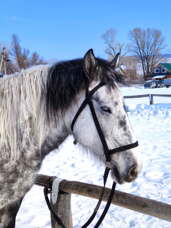 Кони, скалы, водопад: путешествие в группе из Уфы