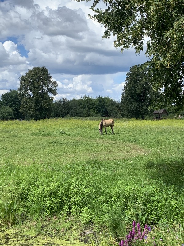 Из Калуги к истокам Руси: село Спас, Свято-Тихонова пустынь и «пояс Богородицы»