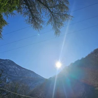 Фото отзыва 3: экскурсия "Групповая экскурсия на встречу с Рицей"