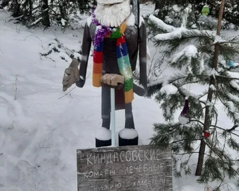 Тренировочный центр экспедиционных собак, деревня Киндасово, размещение в Петрозаводске