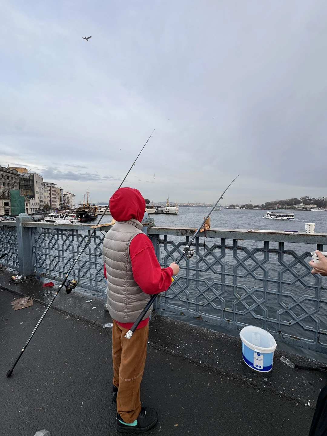 Отличная рыбалка получилась! 9 ставридок! Ребенок счастлив. С нами была гид Баяна. Помогла с организацией процесса