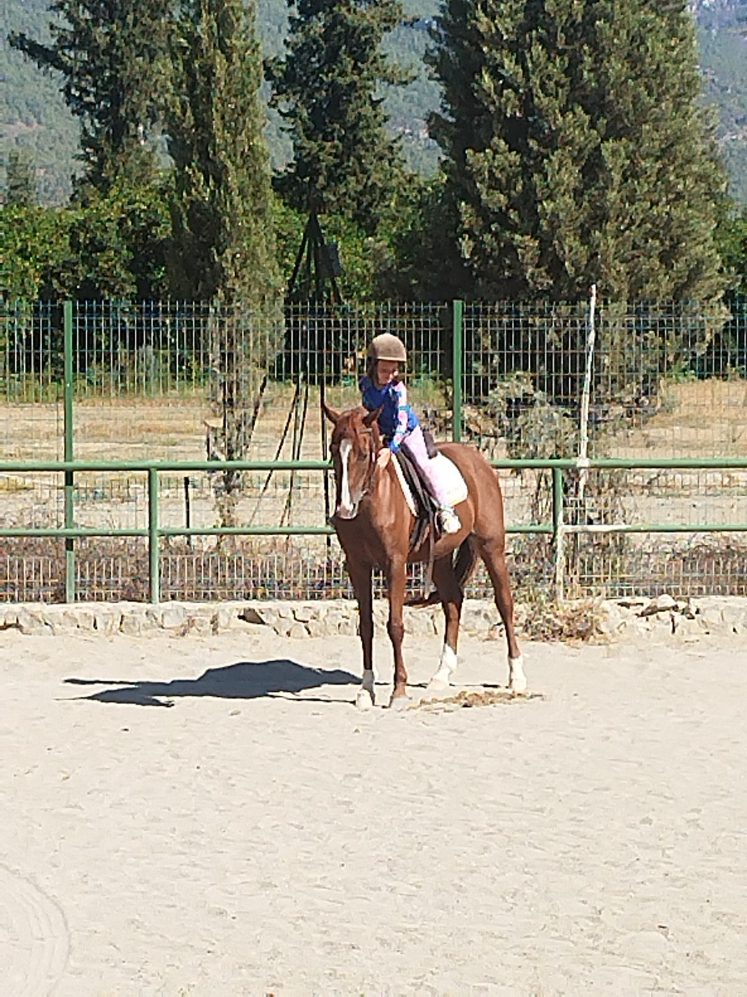 Понравилось. Четко организованно все. Трансфер, сама прогулка. Для тех, кто умелый наездник, есть возможность даже погалопировать