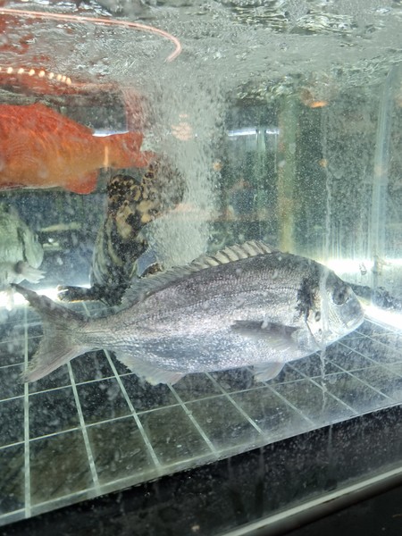 Алексей замечательный гид. очень позитивный, общительный, хорошо говорит по-русски. Мы очень подружились с ним за время