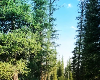 Григорьевское ущелье, Нижнее и Среднее озёра, Семёновское ущелье