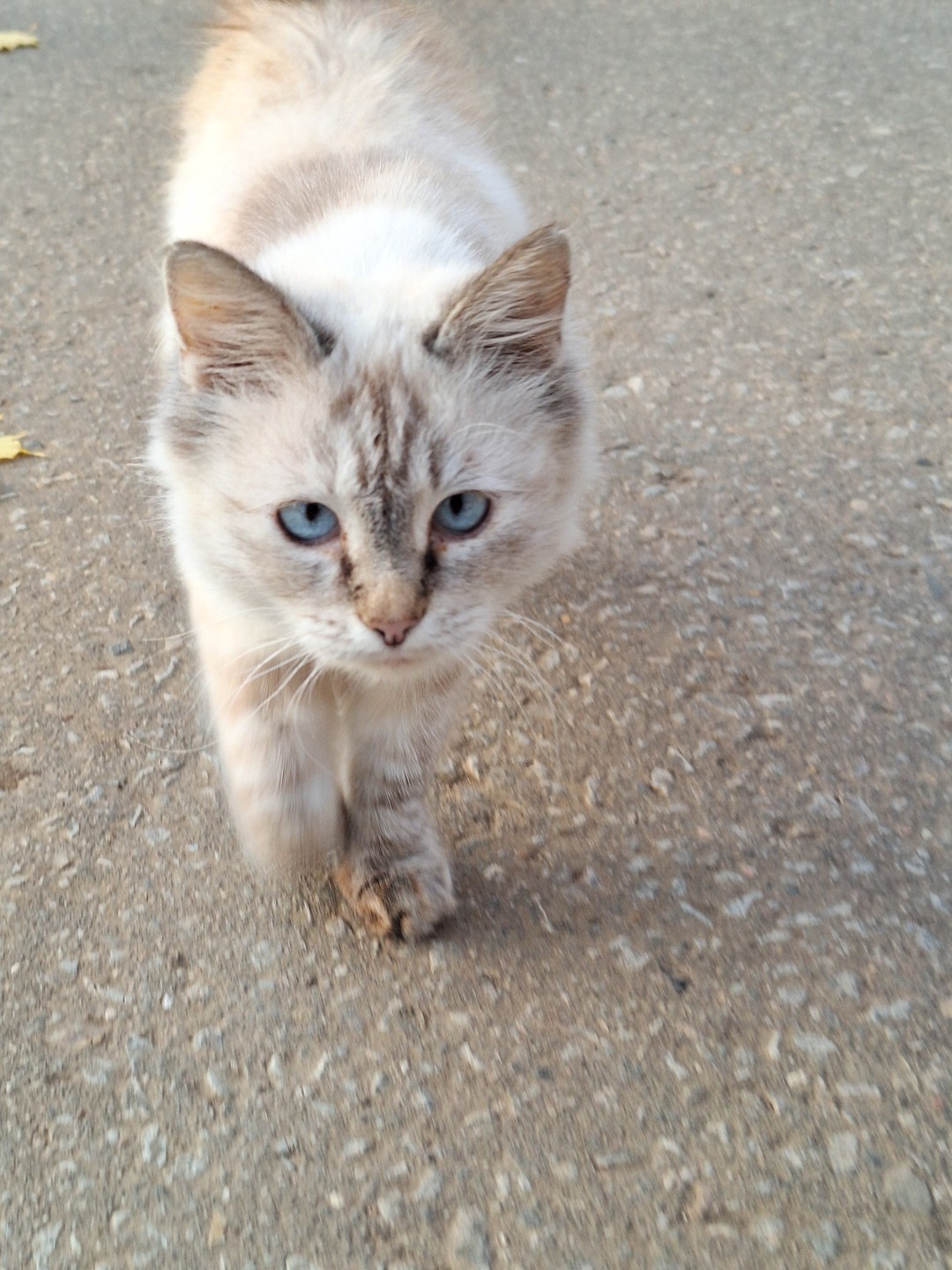 В Судогде оказались случайно. Экскурсию по городу заказали буквально за пару дней до приезда. И не