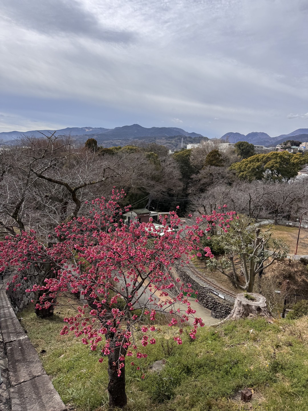 Огромная благодарность Александре за замечательное путешествие. На автомобиле от отеля мы проехали по чудесным местам Японии