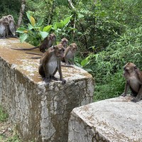 Фото отзыва 2: экскурсия "Остров Лусон: главное за один день"