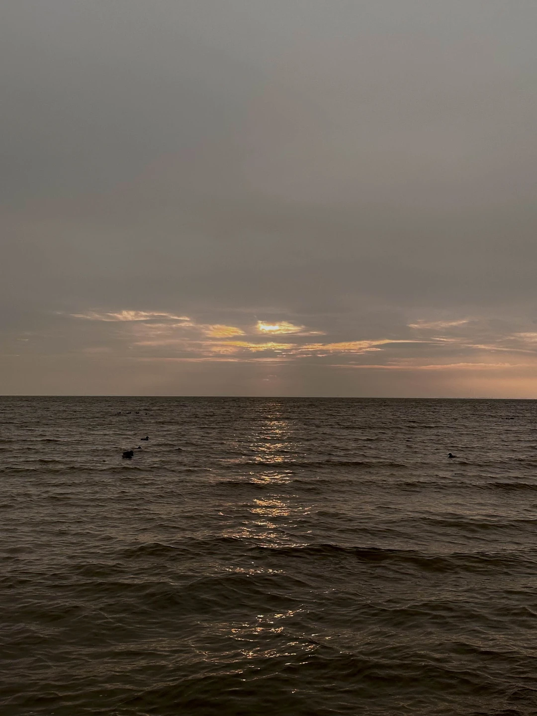 были на индивидуальной экскурсии с Антоном 29 ноября, остались в восторге🙏🏼