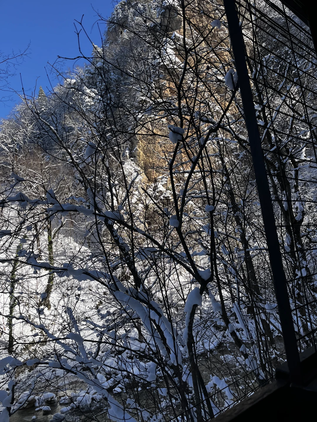Экскурсия замечательная, нам с девушкой очень понравилось, когда будем приезжать в этот чудный город обязательно будем