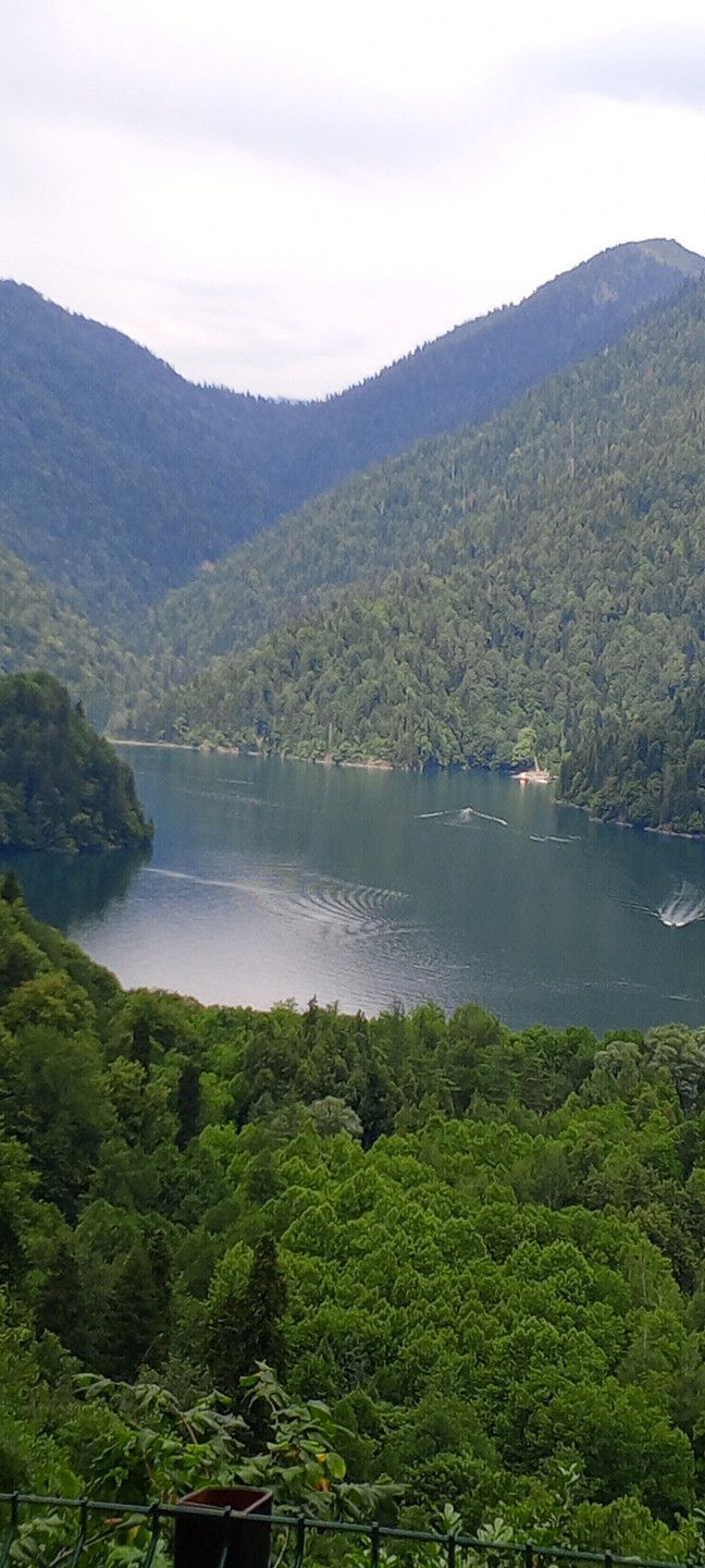 Гагра, Рица, Новый Афон и мандариновый сад: групповая поездка из Адлера (Александра)