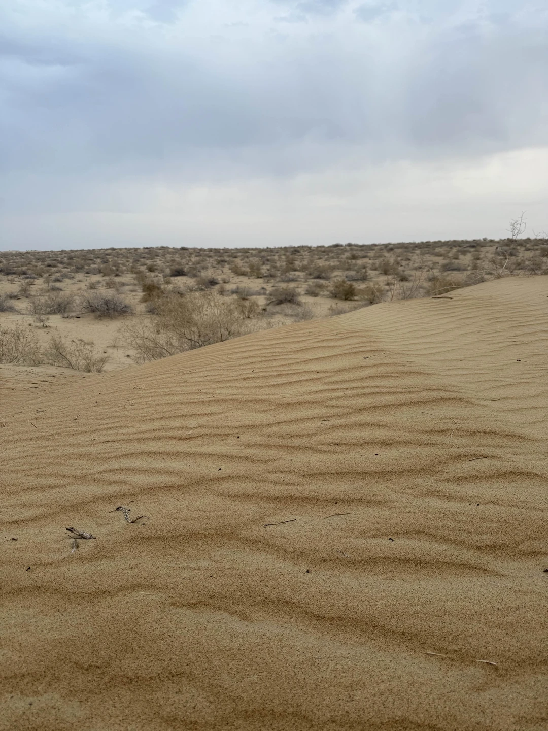 В целом все понравилось. В начале посещаем с гидом дворец Нуриллабой(вход необходимо отплатить дополнительно на месте)