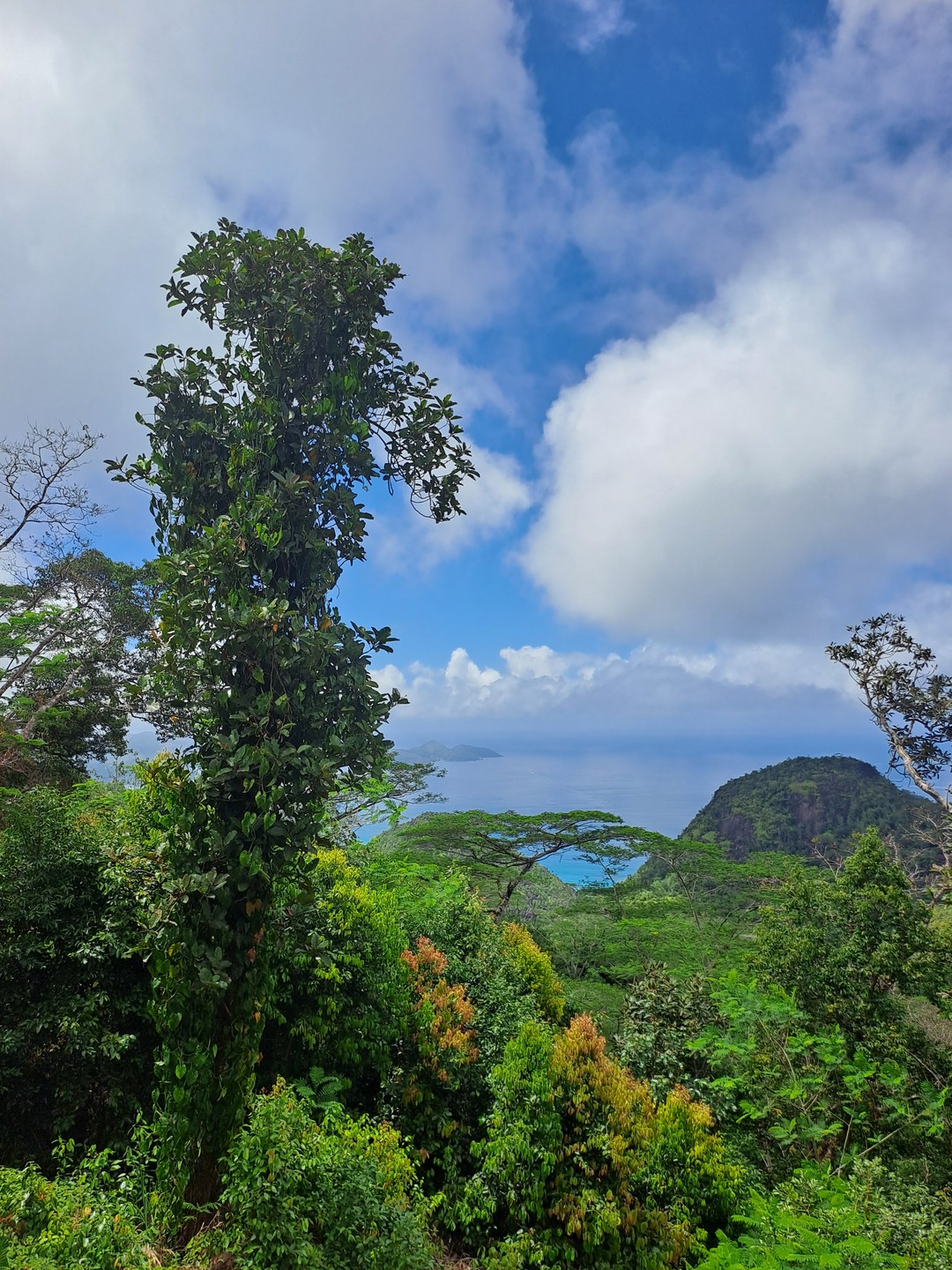 Сейшелы, которым есть чем удивить (Марина)