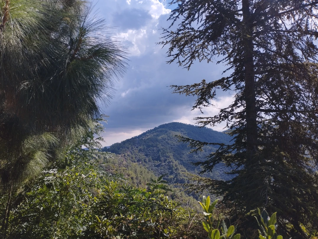 Экскурсия очень познавательная,как в рамках основной темы,так и по истории,культуре,традициям,кухне и современности Кипра.