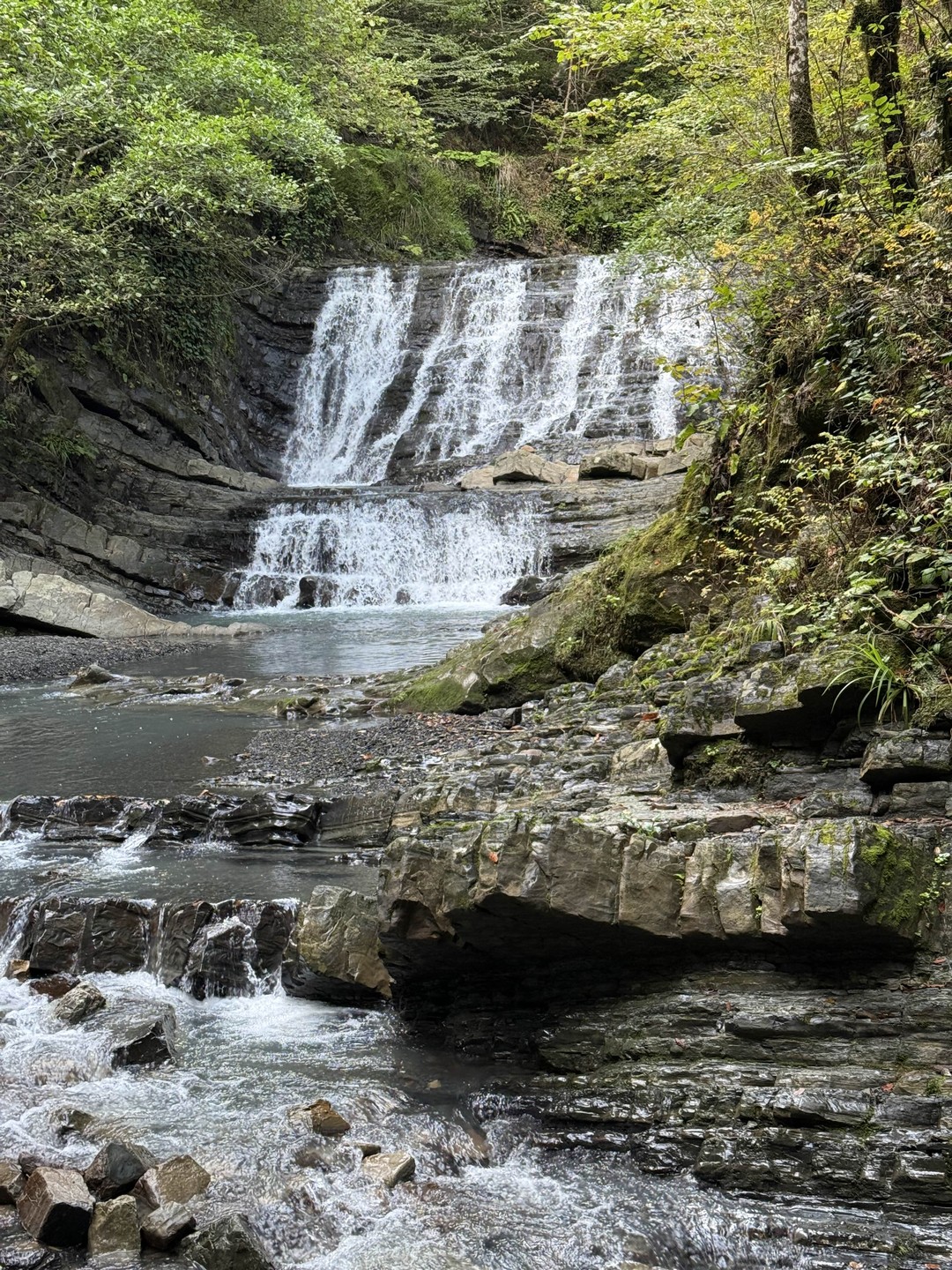 Мы с мужем очень довольны! Я немного переживала, что с нами будет больше сопровождающий, чем полноценный