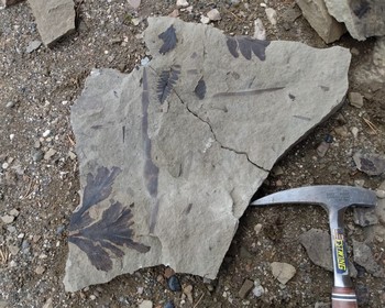 Пермь, Мазуевка и Красноуфимск