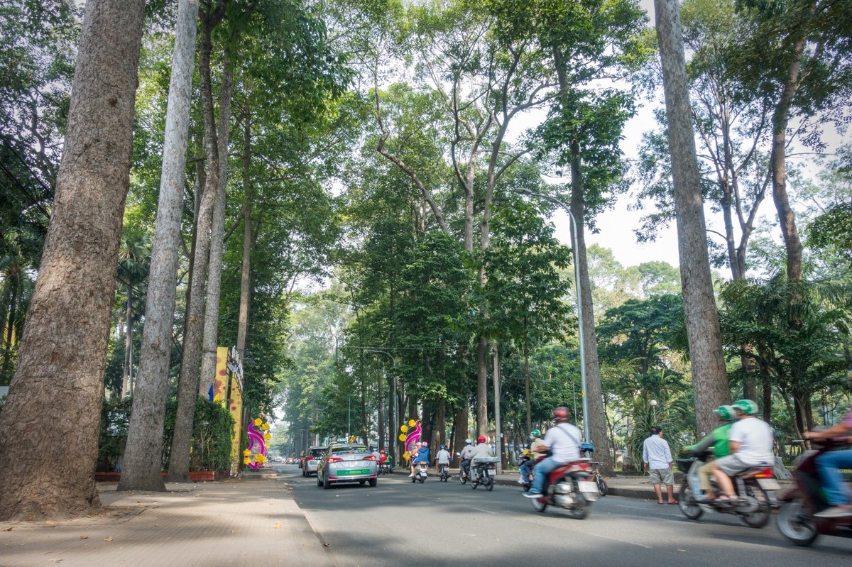 Прогулка по исторической части Хошимина (8/9)