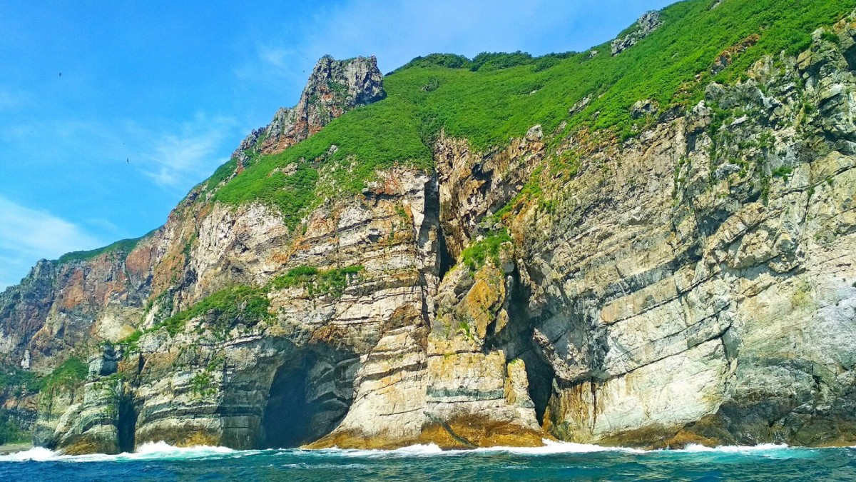 Мыс Сосновый – скалы, тюлени и сосны (9/11)