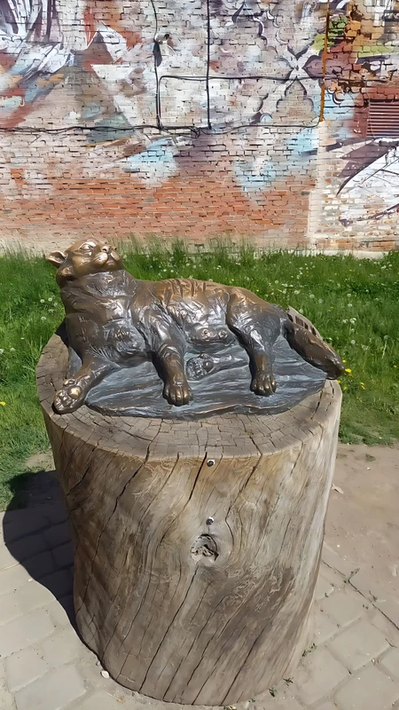 Виды Прикоснись к истории татар, или Снимите обувь — вы в гостях