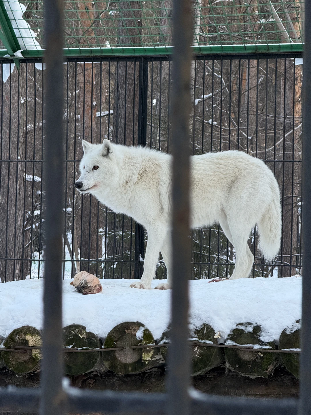 Волею судьбы, погоды и несостыковки самолетов мы оказались в Новосибирске и ничуть об этом не пожалели