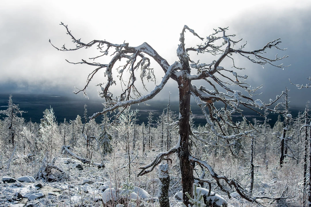 Вид с&nbsp;горы Воттоваара