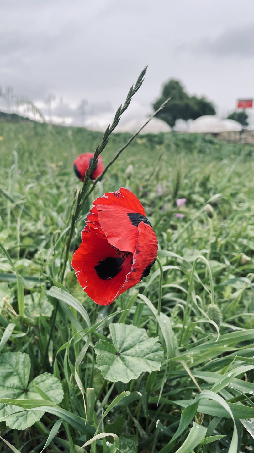 Огромное спасибо Тимуру и нашему гиду Юсуфу за организацию и сопровождение по этому маршруту! У нас