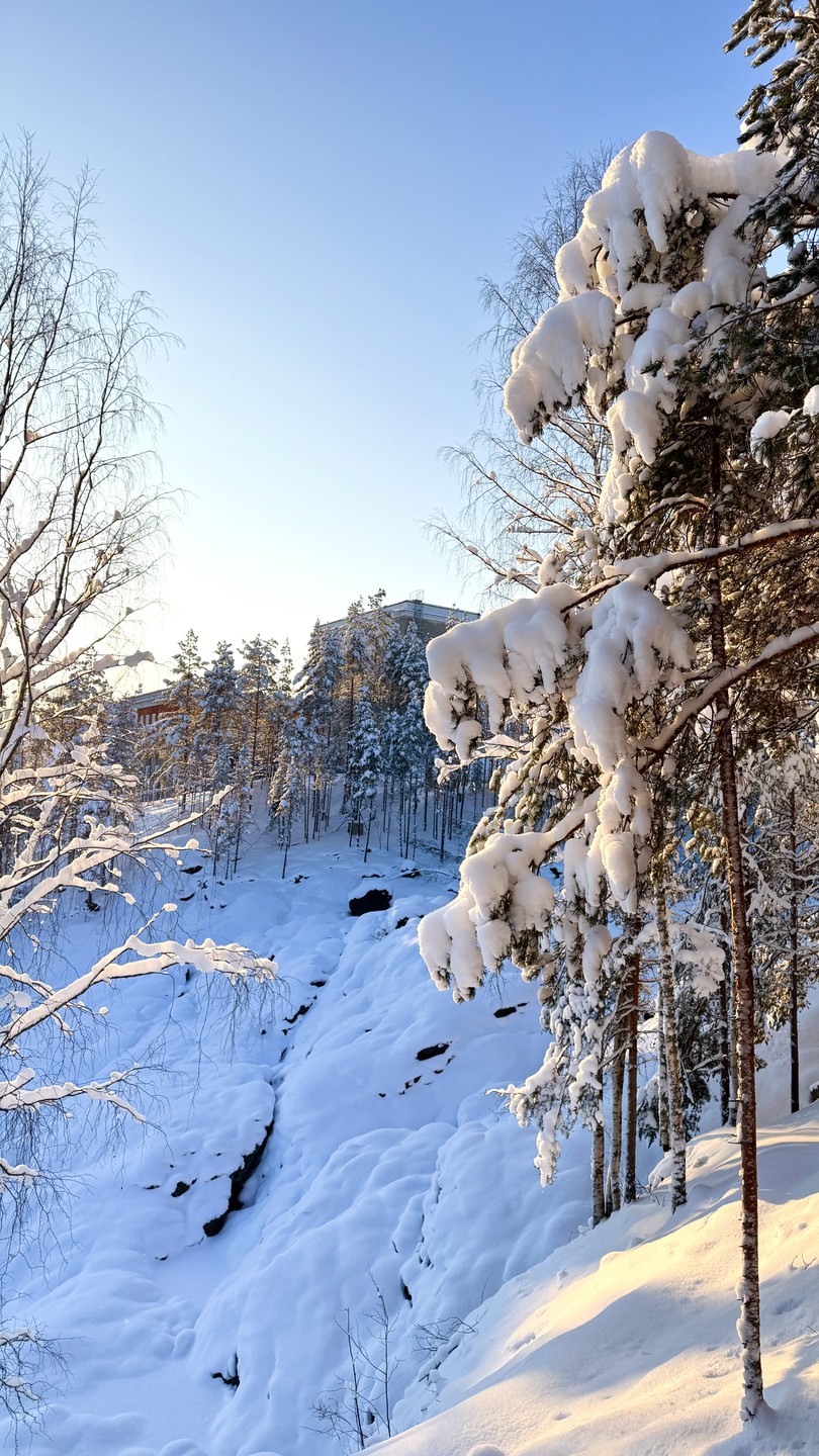 Очень благодарны Игорю за экскурсию по золотому кольцу Карелии. Его рассказы в пути сделали даже длинные